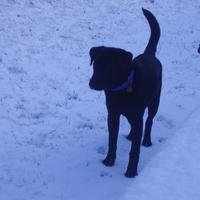 1st snow