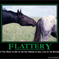 flattery