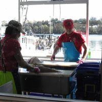 bondi room
