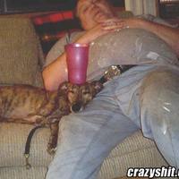 Sure, the dogs funny... but how fat is this guy!