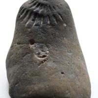 Fossil find