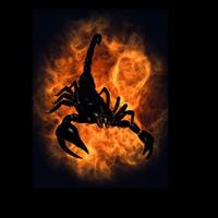 Scorpio