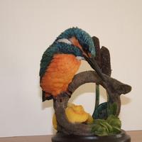 kingfisher