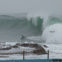 Surfs up!