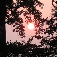 sunrize