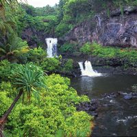 garden of eden?