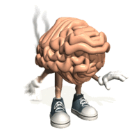 Brain Fart