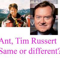 ant/tim