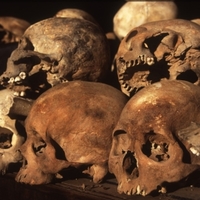 May the Skulls be with You