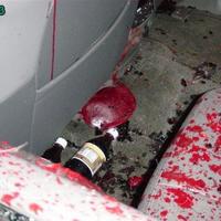 Deer hit