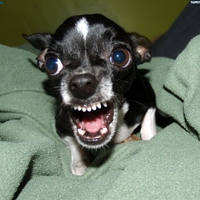 I want your soul. I will eat your soul. Come to daddy!