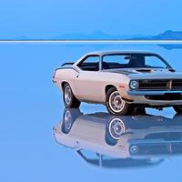 71 Cuda