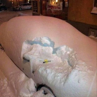 Snow day!