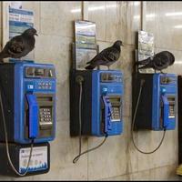 TELECOM BACKUP DEVICES