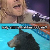 kurt cobain