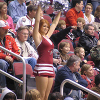 Sexy Hockey Girl