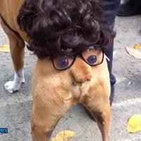 In disguise
