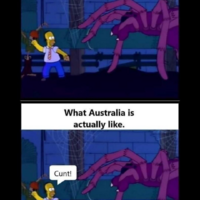 It's funny because it's true 