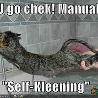 lolcat