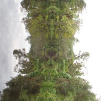 Bizarre & kinda spooky rotated