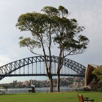 bridge