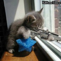 A good Kitty!!!!