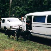 me in the Kombi Van