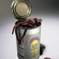 can of worms