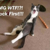 lol cats