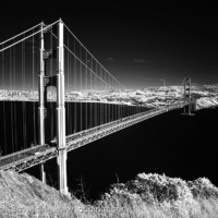 Daylight Infrared