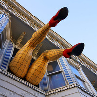 Haight Street Madame