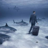 the business world?