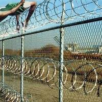 palestinian high jump