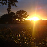 last light 