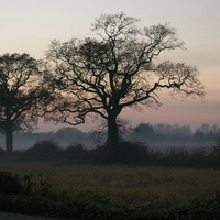 foggy Day 