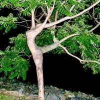 naturally babe,,,,,,