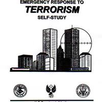 Official Fema Report Cover.... mmmmmmmmm