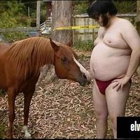 the other elvis
