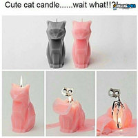 cat candle