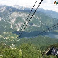 Zipline?