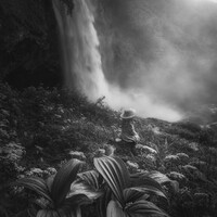 "Fall from Grace" by Thomas de Franzoni