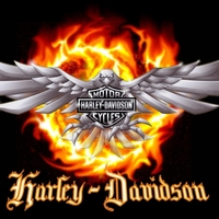 steel wings