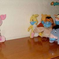 Swine Flu containment measures underway