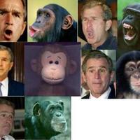 Curious George