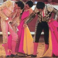 bullfighting can be dangerous
