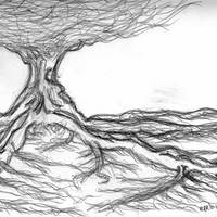 the dreamscape