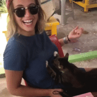 I've been reincarnated as a cat