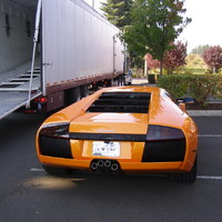 Halloween Murcielago