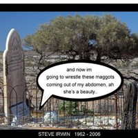 STEVE IRWIN'S STILL FIGHTING