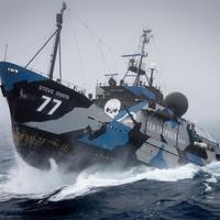 Sea Shepherd